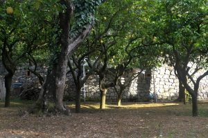 Relais Villa Anna ad Anacapri sull'isola di Capri: la limonaia